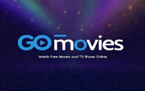 Best VPN for Gomovies Streaming